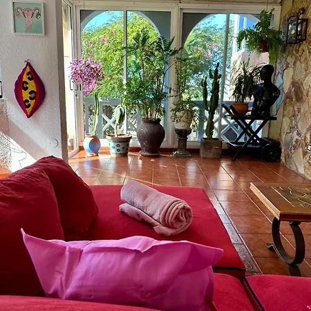 Cosy Ocean View & Garden Апартаменты *